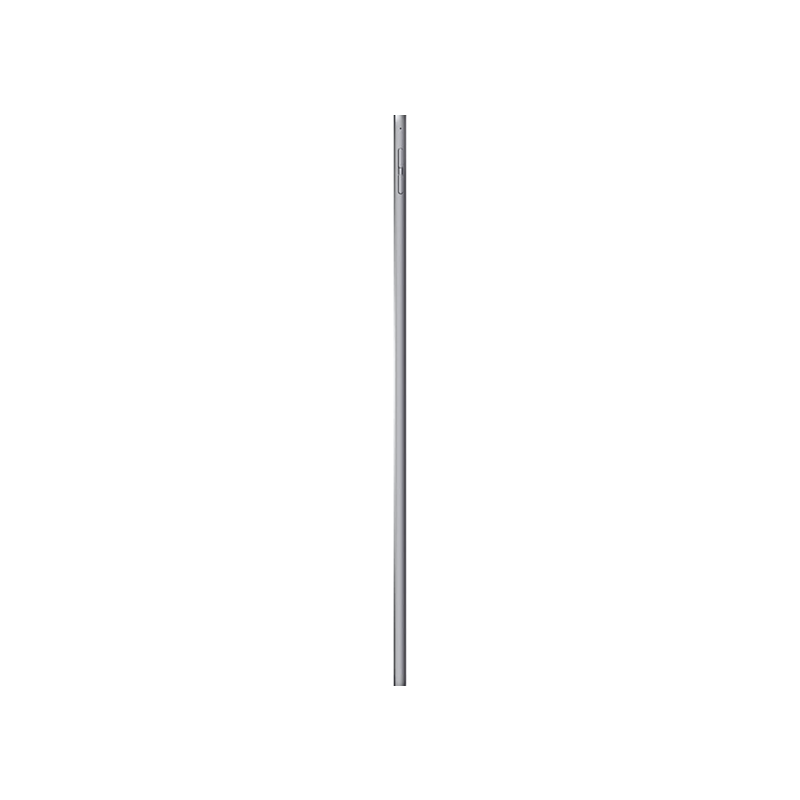 iPad Pro 2015 1st Gen